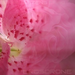 Erosdrone
